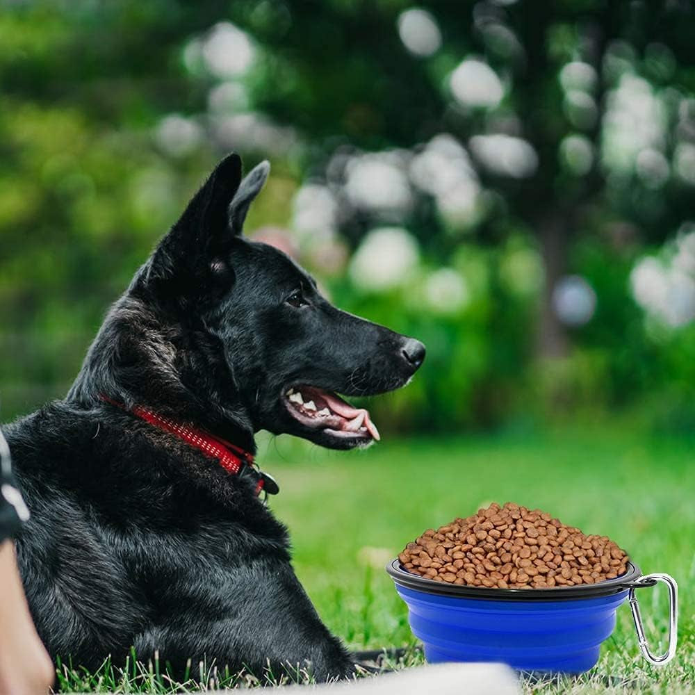Large Collapsible Dog Bowls - 2 Pack Portable Feeding and Watering Dishes for Pets, Ideal for Travel and Outdoor Activities (Large, Blue and Green)