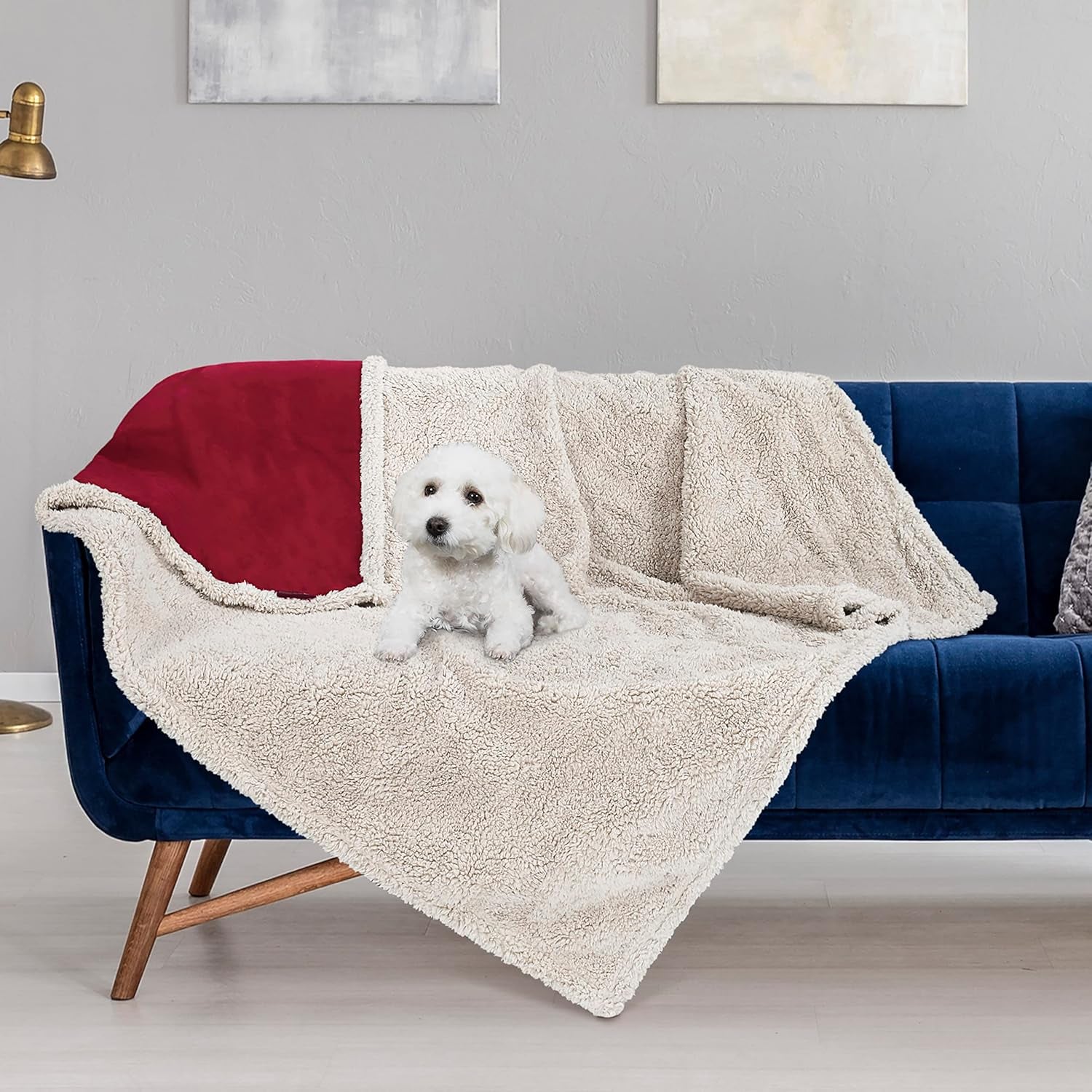 Reversible Waterproof Pet Blanket for Dogs and Cats | 50 x 60 Inch Washable Sofa and Bed Protector, Safeguards Furniture from Fur, Dirt, Scratches, and Spills