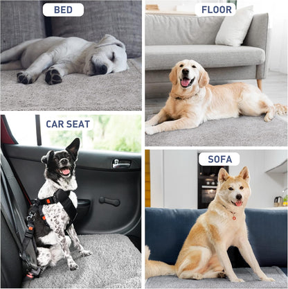 Reversible Waterproof Pet Blanket for Dogs and Cats | 50 x 60 Inch Washable Sofa and Bed Protector, Safeguards Furniture from Fur, Dirt, Scratches, and Spills